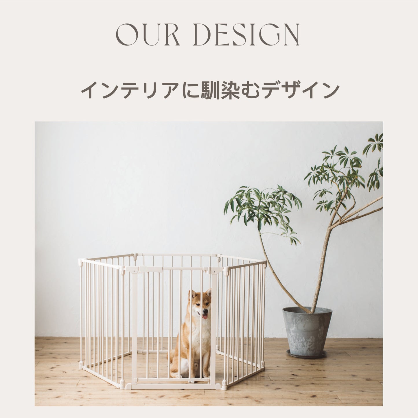 STYLISH DOG CAGE