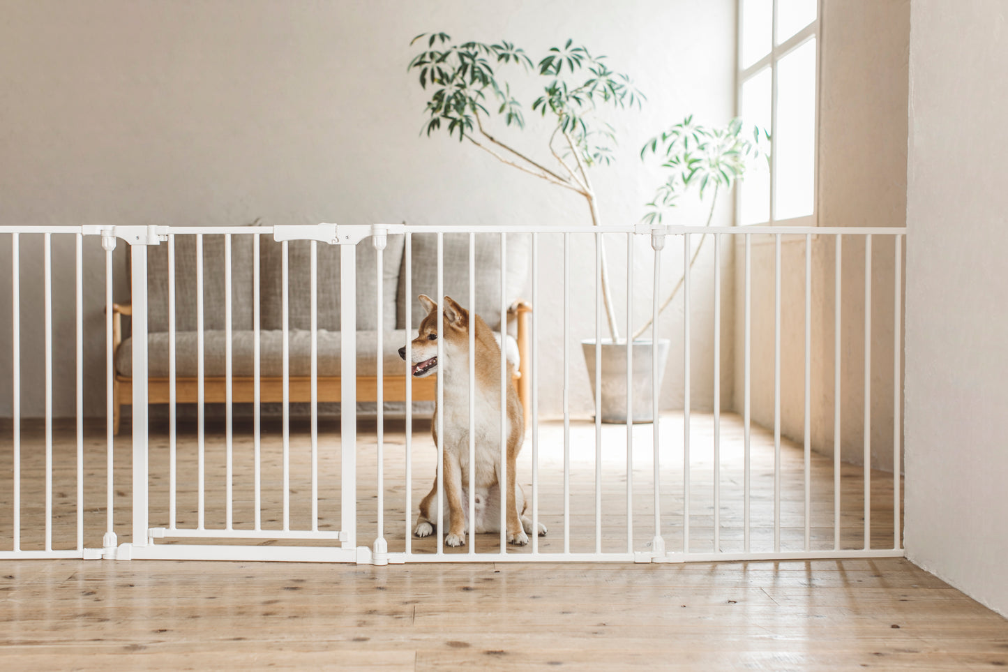 STYLISH DOG CAGE