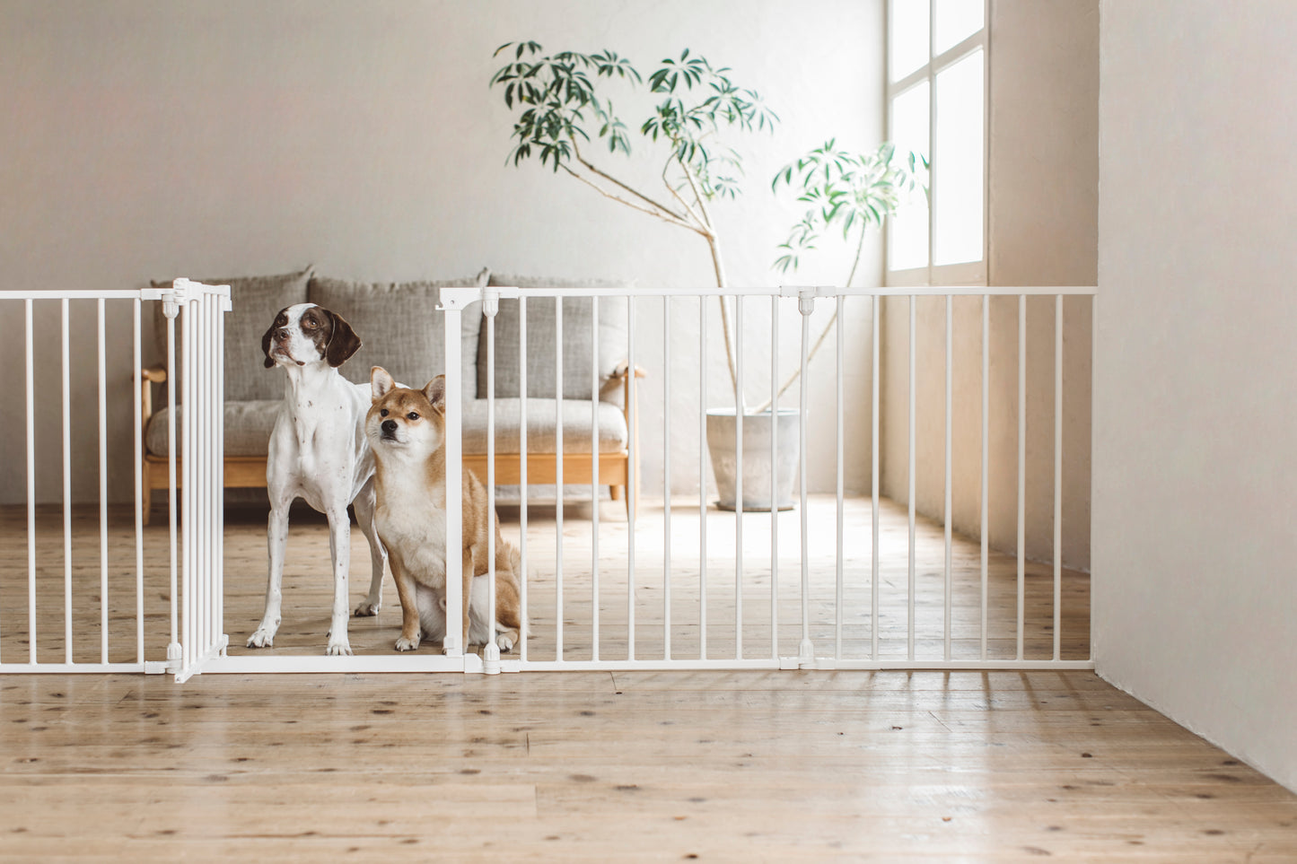 STYLISH DOG CAGE