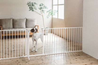 STYLISH DOG CAGE