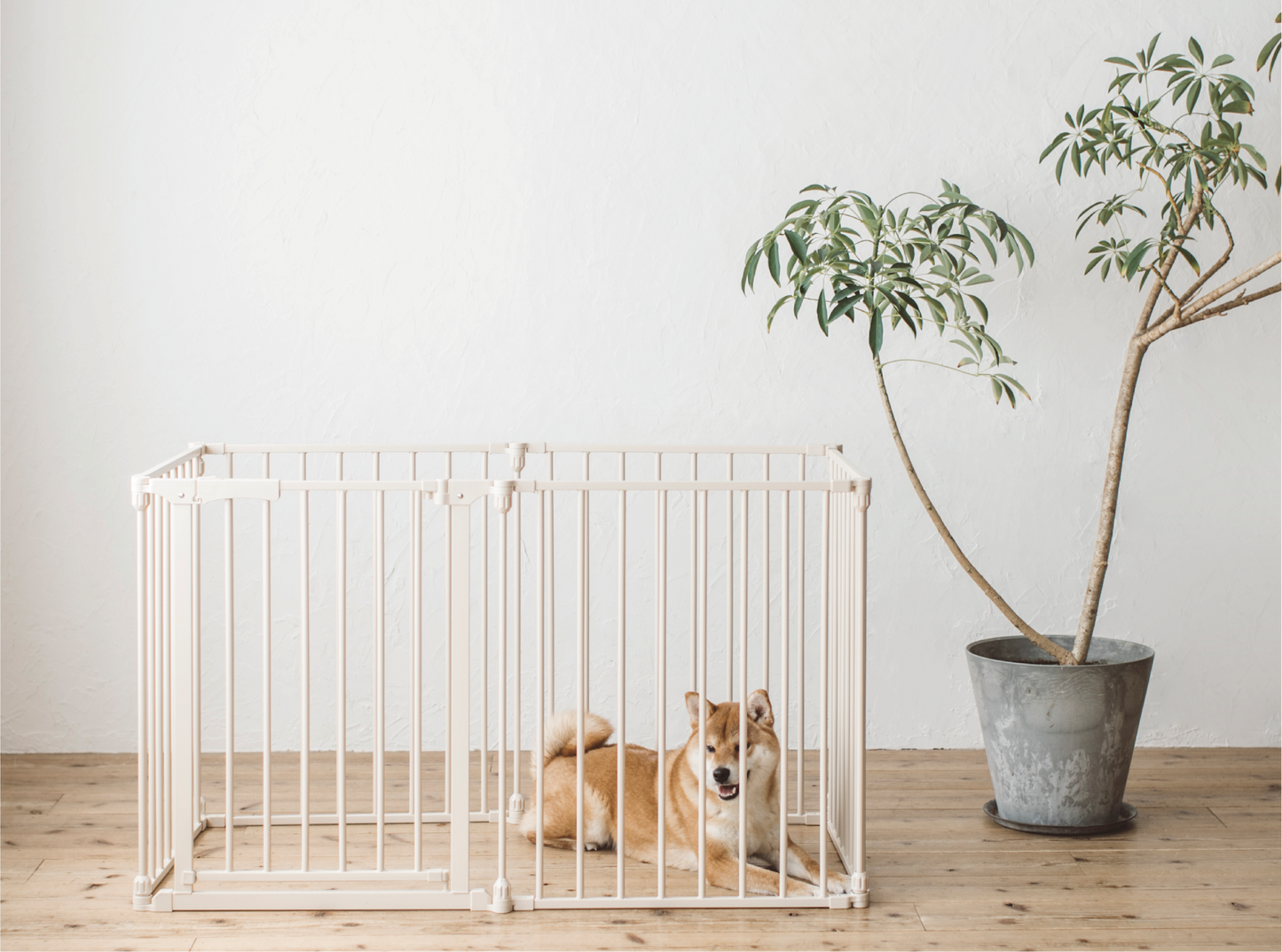 STYLISH DOG CAGE