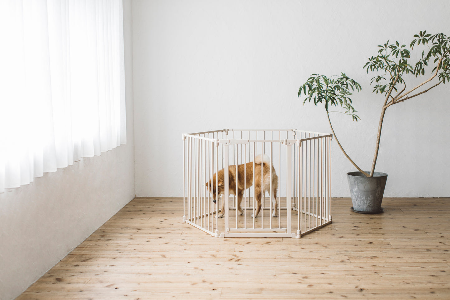 STYLISH DOG CAGE