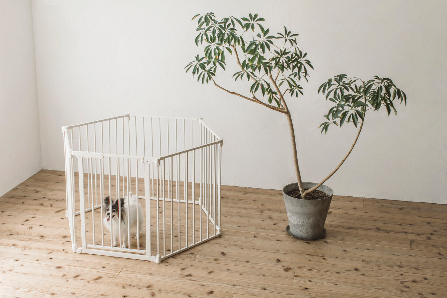 STYLISH DOG CAGE