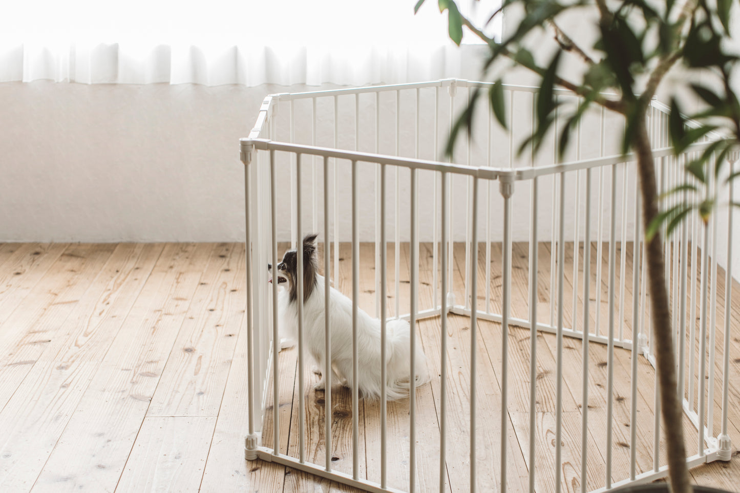 STYLISH DOG CAGE