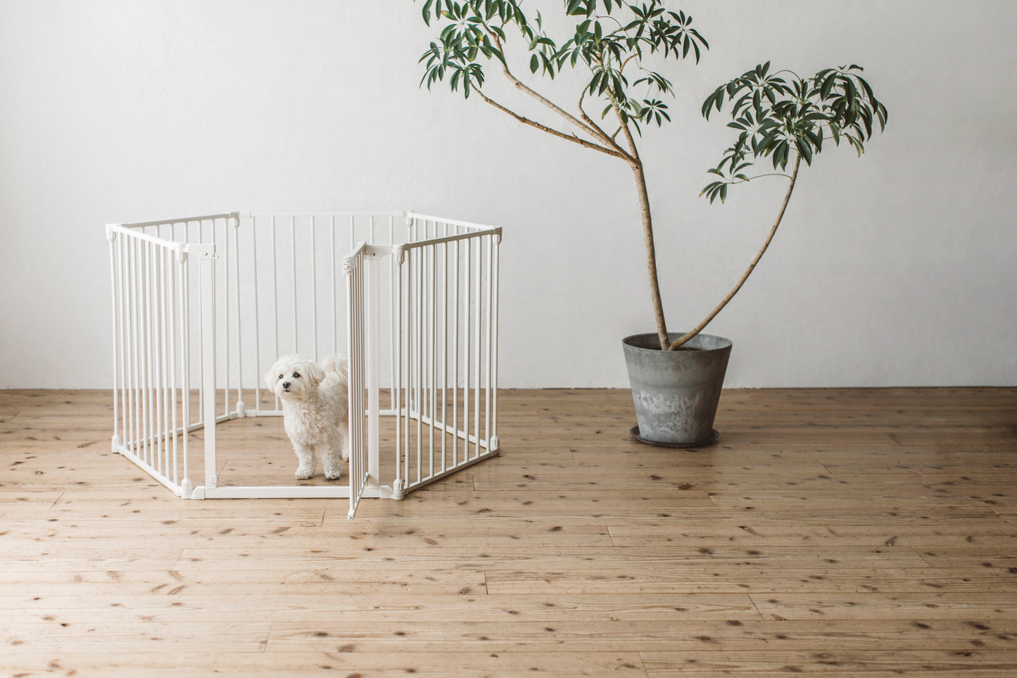 STYLISH DOG CAGE